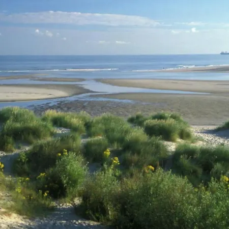 Beachside Apartment Close To De Panne דירה