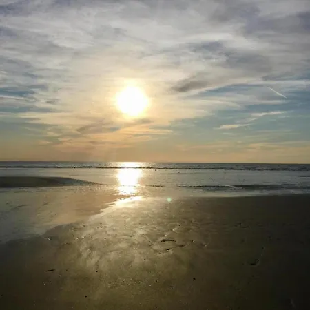 Beachside Apartment Close To De Panne *