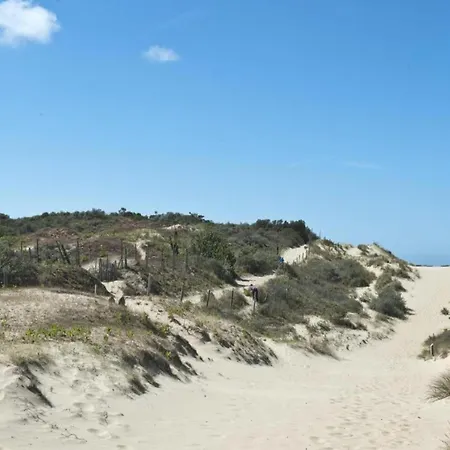 Beachside Apartment Close To De Panne 아파트